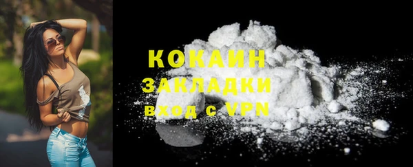 PSILOCYBIN Гусиноозёрск