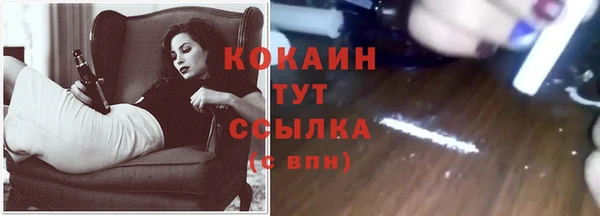 PSILOCYBIN Гусиноозёрск