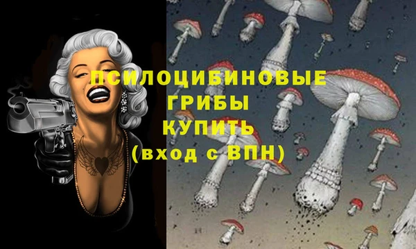 соль курить ск Гусь-Хрустальный