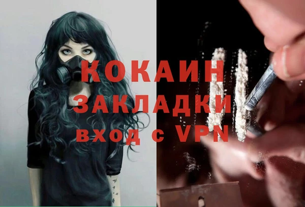 PSILOCYBIN Гусиноозёрск