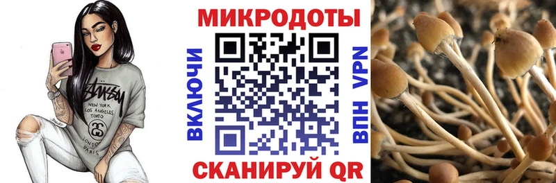 Купить закладки  Лениногорск  Галлюциногенные грибы мухоморы 